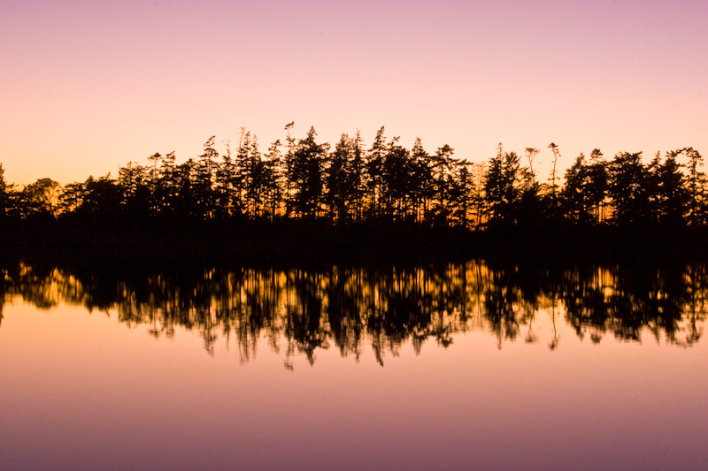 Trees Reflected In Cranberry Lake At Sunset